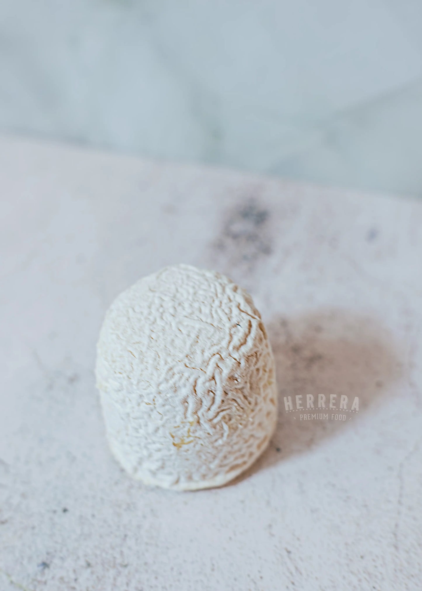 Queso Chabichou