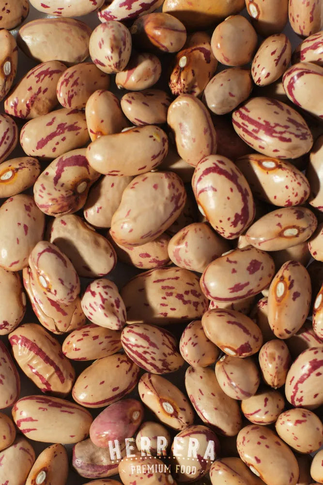 Alubia Judía Pinta de España