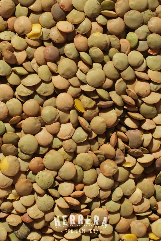 Descubre la Ternura de la Lenteja Castellana