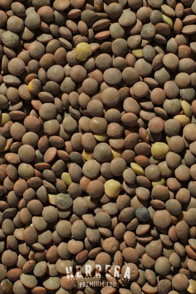 La Lenteja Perfecta para Tus Recetas