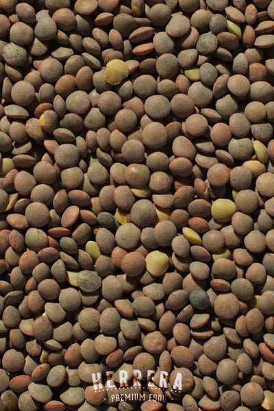La Lenteja Perfecta para Tus Recetas