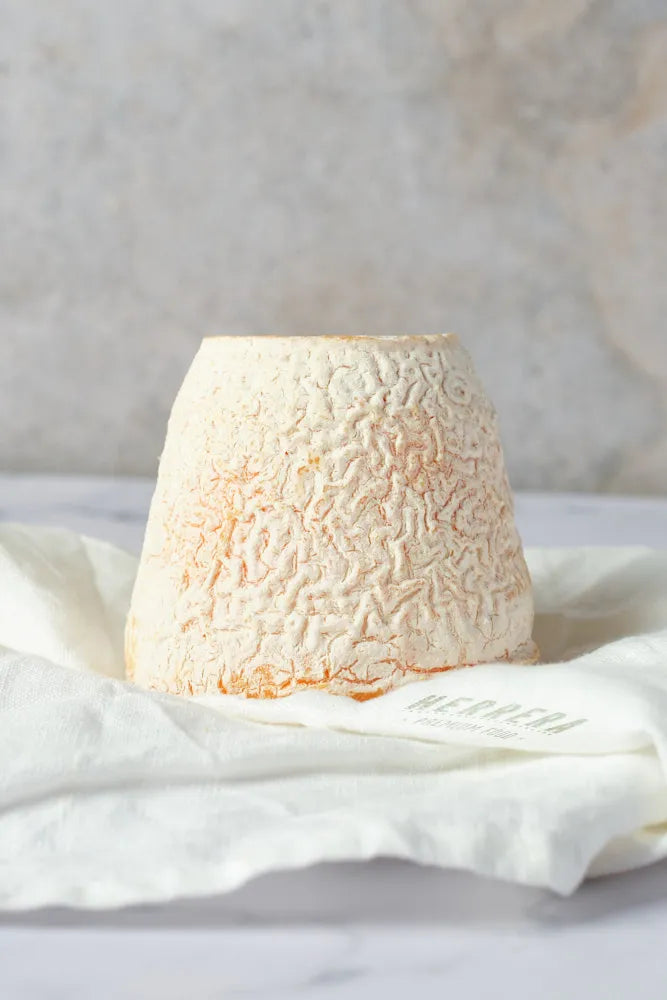 Sabor Centenario: Queso Reysilo Blanco