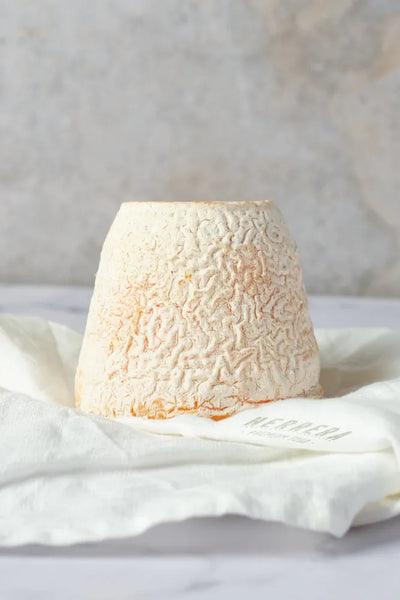 Sabor Centenario: Queso Reysilo Blanco