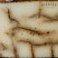 Queso Curado de Ajo Negro Vega Sotuelamos
