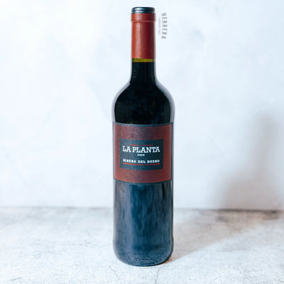 La Planta de Arzuaga 2023